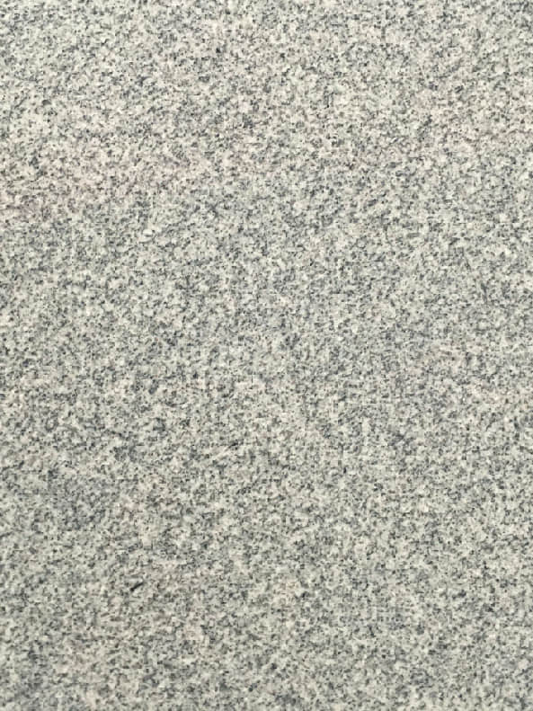 Granite Sample #4